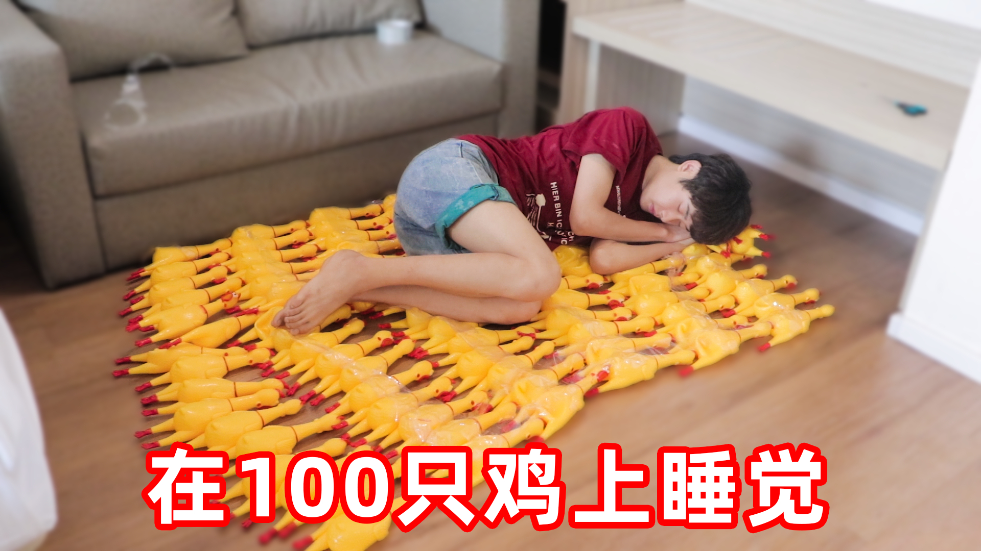 挑战在100只尖叫鸡上面睡觉!晚上邻居被吵到砸天花板